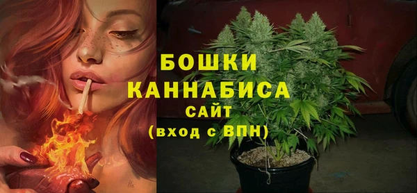 СК Инсар