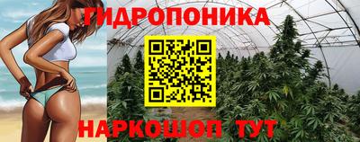 apvp Янаул