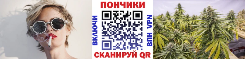 Бошки марихуана OG Kush Советский